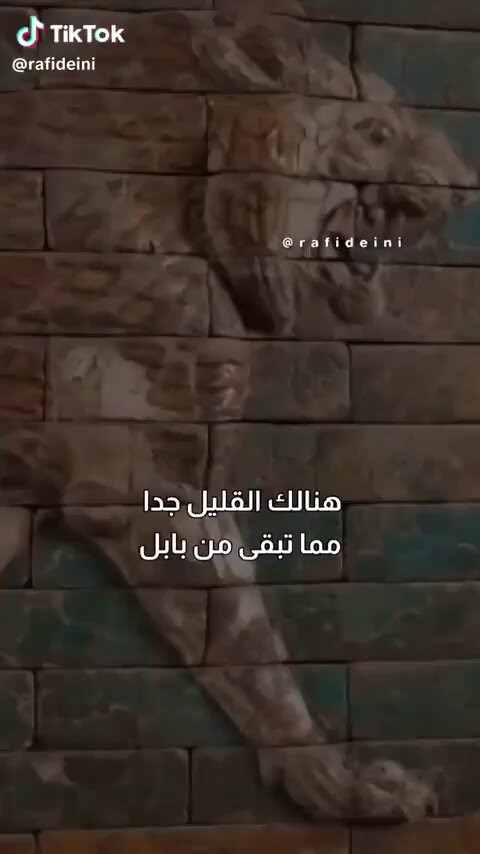8kJPPptm24HUl6qU.jpg