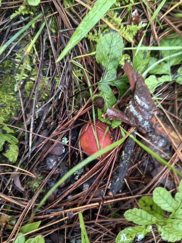 IMG 20250809 071321.jpg