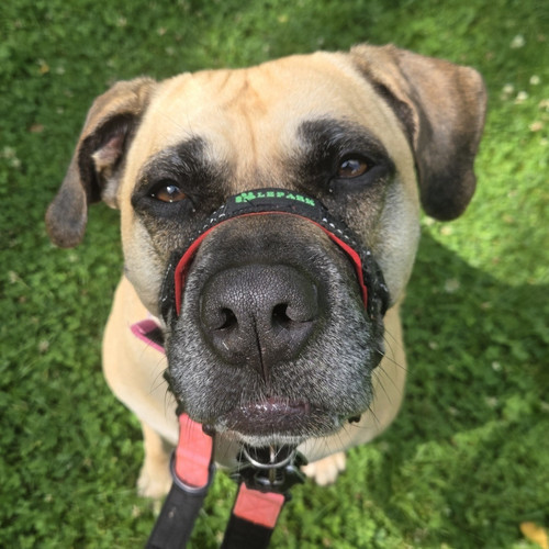 Screenshot 20250809 151234 Gallery.jpg