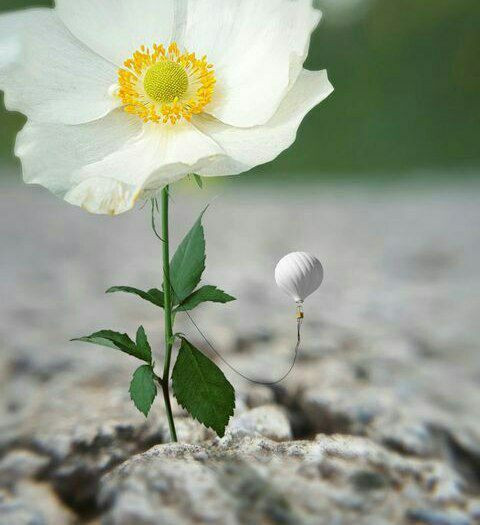 Z3V3etvF8EHd9XtlBlesgdqtUq5YZxKGpdOH32eRgPGdBdyEP9APbfJT2DebXhePt7LtmHMvczMTDXfay1Nc0moefDfVtutzRteJ.jpg