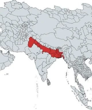GAsMyo6HCIEE05gVI S3zOUm 3eDdUCc1 mBQQy9iNlphd8oFmaoZSPqKeciwhhJ2GSLZxw8hK0M8 n1hZJXVEXj7IgQqG HlQ0y.jpg