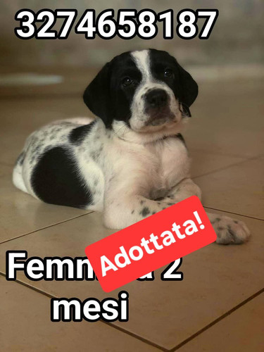 Gx6UK9JWUAEvV2o.jpg