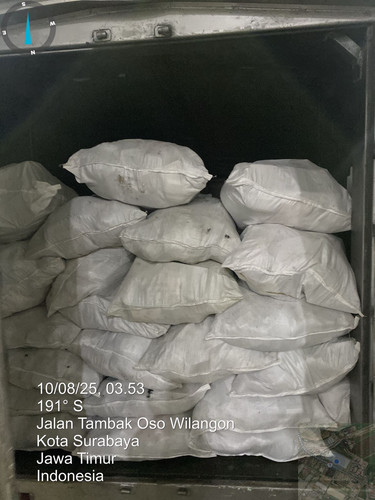 0813dc96 ef7e 4487 af6e 18d965aad2ba.jpg