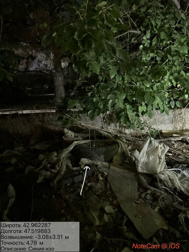 photo 2 2025 08 09 23 53 58.jpg