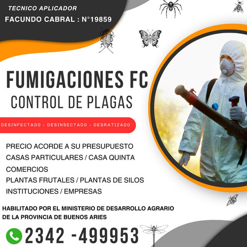 Imagen de WhatsApp 2025 08 09 a las 18.00.09 165c2a45.jpg