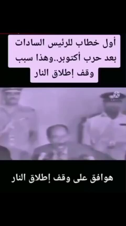  6mwB78h mfO8J R.jpg