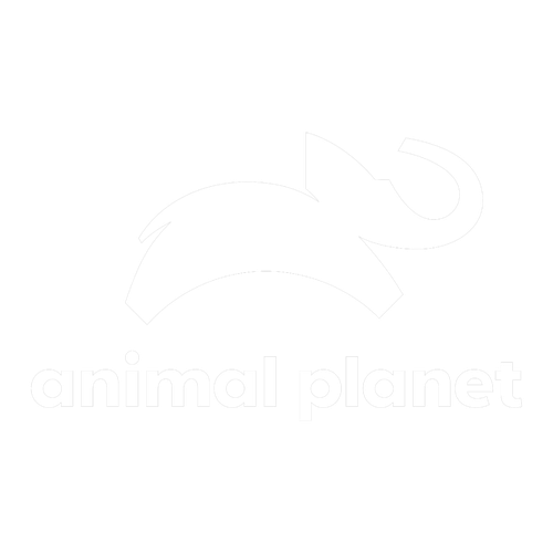 Picsart 25 08 09 09 38 40 372.png