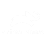 Picsart 25 08 09 09 38 40 372