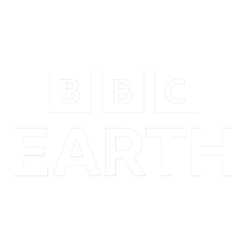 Picsart 25 08 09 09 29 56 369.png