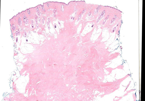 Gx6 eHJWAAAlAyQ.jpg