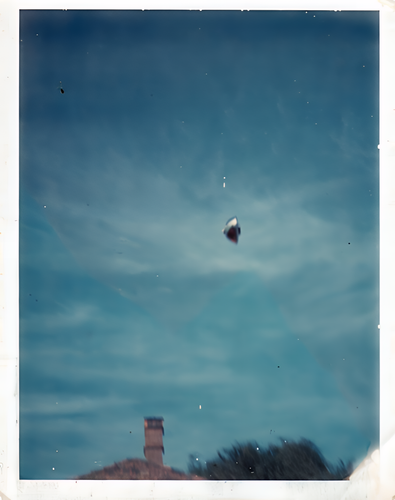 F2eSlJMaoAAwa6K 1617x2048.png