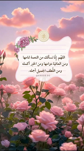 a3 sQ4ueZpQ 8Qq4.jpg
