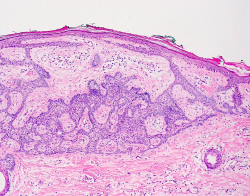 Gx3JmtOXEAAsi6i.1