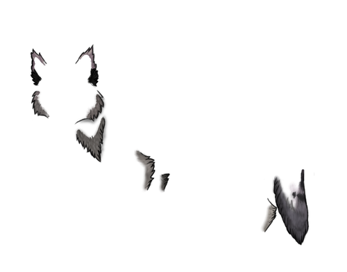 1000032692.2