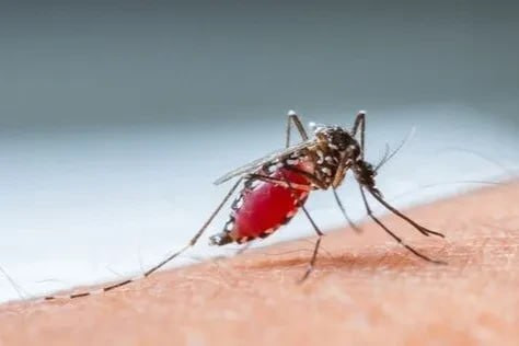 R6aMn0fXoD47MAv8c0PjcEFEJLBmzqg8y2jRSJg5bF6X amS2fl3iuAicyWBrIu2yi trhdk4QhVdqMZaxUzMUYreRAtxxFmCvYY.jpg