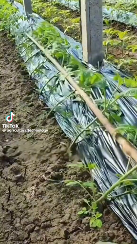 atTyeF AJrvWMEfJ.jpg