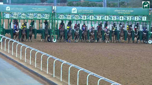 0XeCGk k21dx92D8.jpg