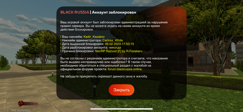 IMG 3889.png
