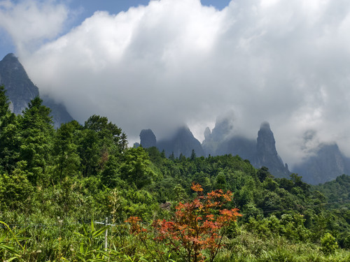 IMG 20250809 111118.jpg