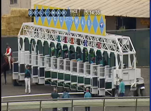 mku38ObBhv qpucj.jpg