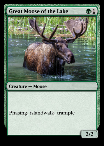 Great Moose of the Lake.jpg