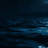 E9FA314F CD22 451E 86A0 464A879080AA.gif