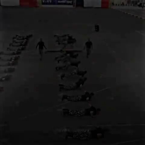  2zEUTJs5hrnpLUc.jpg