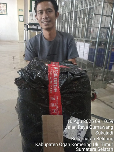 WhatsApp Image 2025 08 10 at 09.13.59.jpg