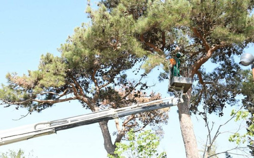 kPRqSRNYgQLf03PZjXg0e4yxYmNfCFm4n7ohZxUAfGFWblFqLys5CkjW 4eDpbY8xlCc11zuPQ gWXjnG3xZTMgJ0NKIzJ hDXd4.jpg