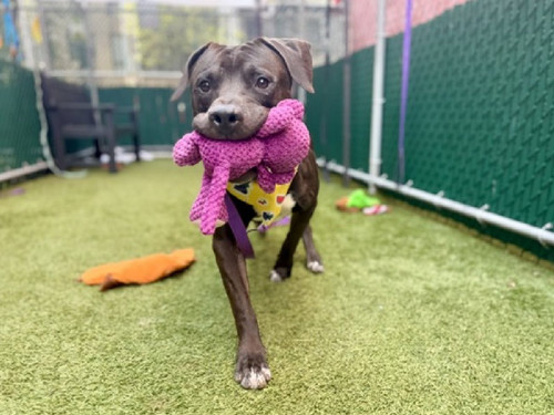 GxOBUZQaAAAOyS ?format=jpg.jpg