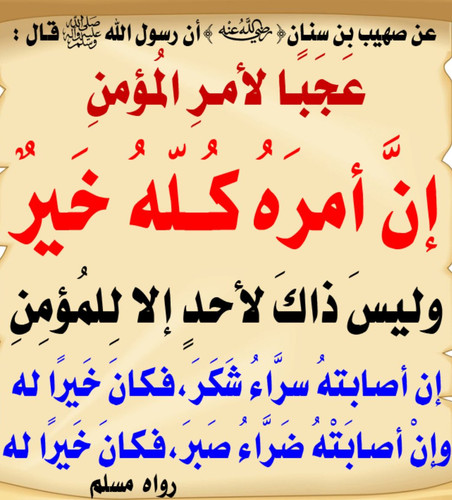 Gx6pqV4W0AALDqe.jpg