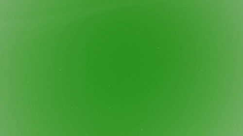 dxs2HqaY3uNZUX5P.jpg