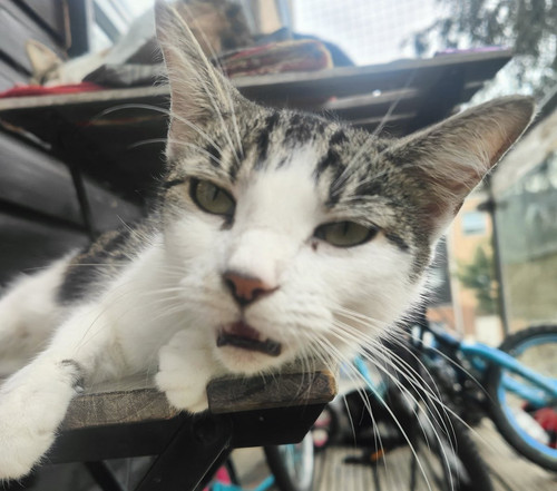 Gxx tYsWoAA975R?format=jpg.jpg