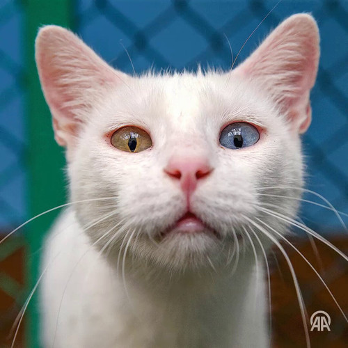 HJwp2F oXPKXVsGW.jpg