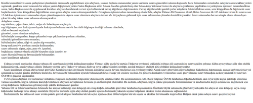 Ekran görüntüsü 2025 08 10 011803.png