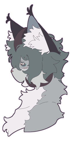IMG 5241.png