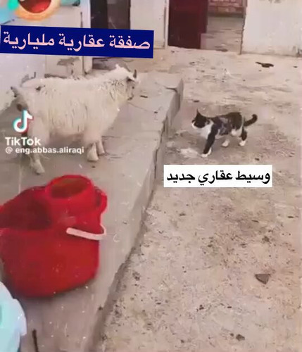 wZ9jhhjX4i0guymK.jpg