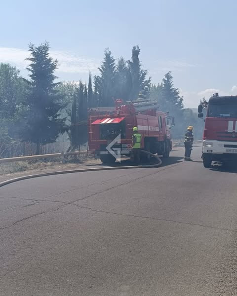 529721318 794017739643909 6719378859703728650 n.jpg?stp=dst jpg s600x600 tt6& nc cat=104&ccb=1 7& nc.jpg