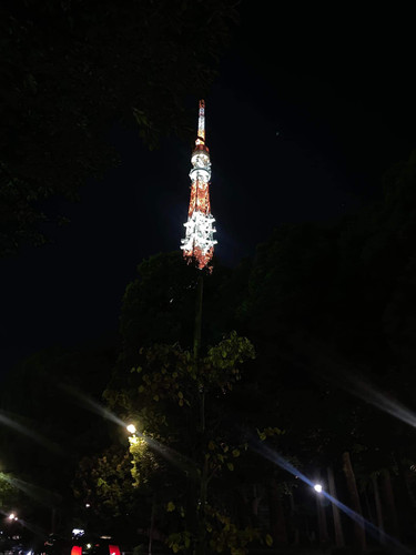 IMG 0091.jpg