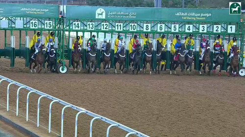 WC tpUZ7VJbLKNUD.jpg