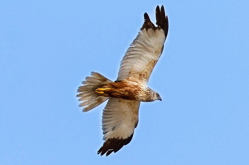 Gx7TscaXgAAoNa3.jpg