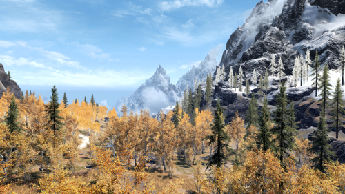Skyrim Special Edition 10 08 2025 01 29 31.png