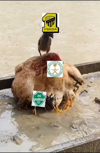 tt0ic7d4EK2iA4bf.jpg