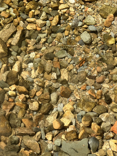 7A100B40 D743 45C5 BDE2 126131890B16.jpg