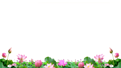 anh.png