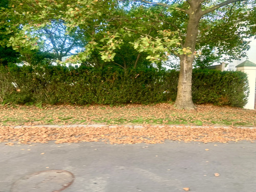 IMG 8438.jpg
