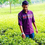 file 2586.jpg