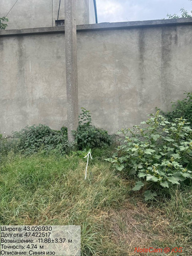 photo 21 2025 08 10 16 50 36.jpg