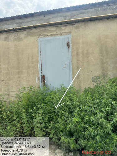 photo 27 2025 08 10 16 50 36.jpg