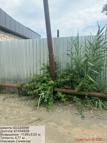 photo 17 2025 08 10 16 50 36.jpg